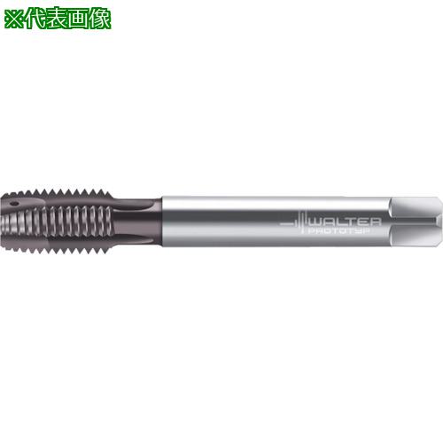 ■Prototyp マシンタップ〔品番:EP2126342M14X1.5〕【8028337:0】[送料別途見積り][掲外取寄][店頭受取不可]