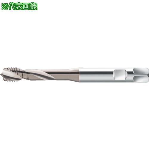 ■Prototyp マシンタップ〔品番:S2051604M5〕【8029430:0】[送料別途見積り][掲外取寄][店頭受取不可]