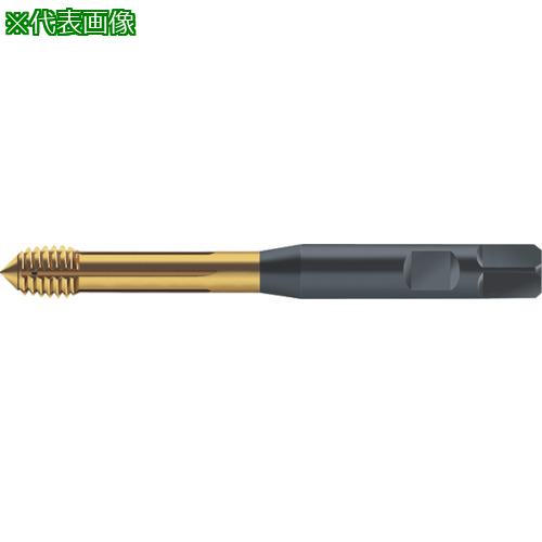 ■Prototyp 転造タップ〔品番:S2061345M8〕【8029455:0】[送料別途見積り][掲外取寄][店頭受取不可]｜ホームセンターバロー　店