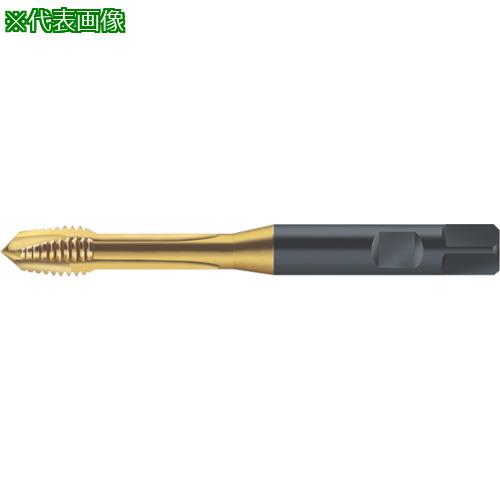 ■Prototyp マシンタップ〔品番:S2126302M14X1.5〕【8029460:0】[送料別途見積り][掲外取寄][店頭受取不可]
