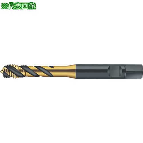 ■Prototyp マシンタップ〔品番:S2156302M12X1.5〕【8029473:0】[送料別途見積り][掲外取寄][店頭受取不可]｜ホームセンターバロー　店