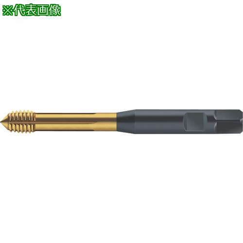 ■Prototyp 転造タップ〔品番:S2166305M8X1〕【8029488:0】[送料別途見積り][掲外取寄][店頭受取不可]｜ホームセンターバロー　店