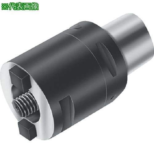 ■Walter マスターアダプター〔品番:A100M.8.80.070.80.C8〕【8031950:0】[送料別途見積り][掲外取寄][店頭受取不可]