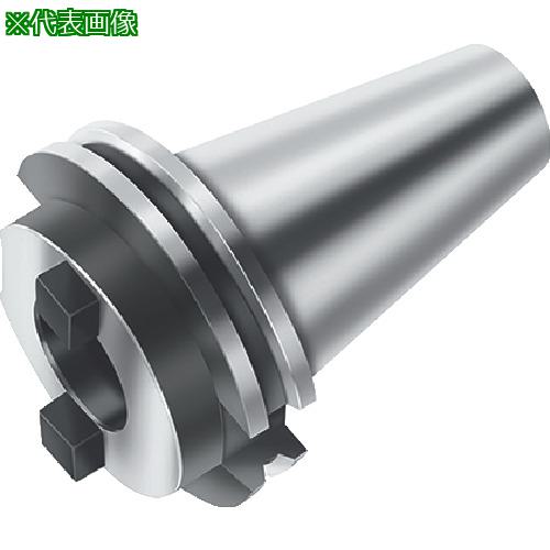 ■Walter マスターアダプター〔品番:A100M.2.40.030.50〕【8032025:0】[送料別途見積り][掲外取寄][店頭受取不可]
