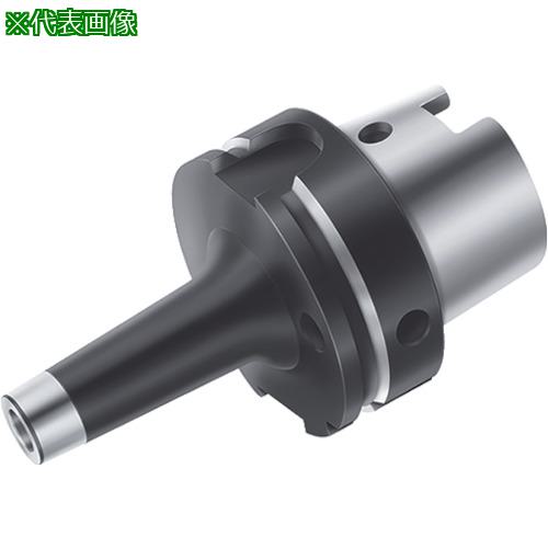■Walter フェースミルアダプター〔品番:AK530.H100A.T36.270〕【8032505:0】[送料別途見積り][掲外取寄][店頭受取不可]