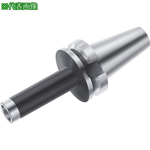 ■Walter フェースミルアダプター〔品番:AK541.BT50.T28.120CO〕【8032668:0】[送料別途見積り][掲外取寄][店頭受取不可]
