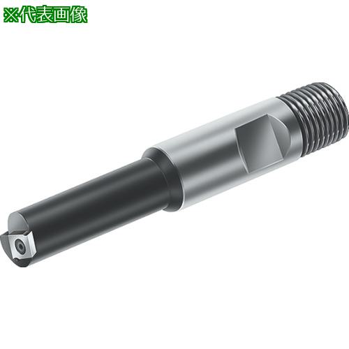 ■Walter 内径溝カッター〔品番:F2036.5.32.140.040〕【8035299:0】[送料別途見積り][掲外取寄][店頭受取不可]｜ホームセンターバロー　店