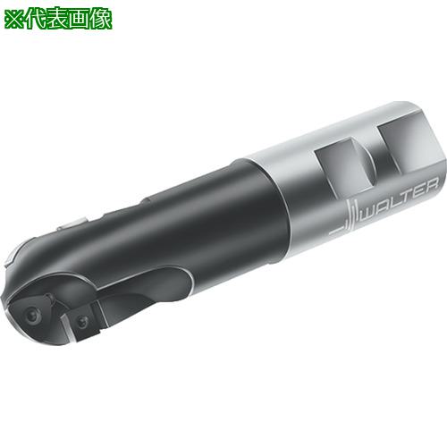 ■Walter ボールノーズカッター〔品番:F2239B.T22.032.Z01.16〕【8035553:0】[送料別途見積り][掲外取寄][店頭受取不可]｜ホームセンターバロー　店