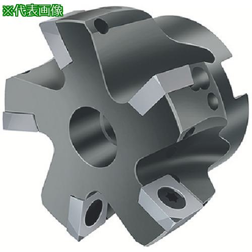 ■Walter 正面フライス/肩削りカッター〔品番:F2250.B22.063.Z05.03〕【8035612:0】[送料別途見積り][掲外取寄][店頭受取不可]