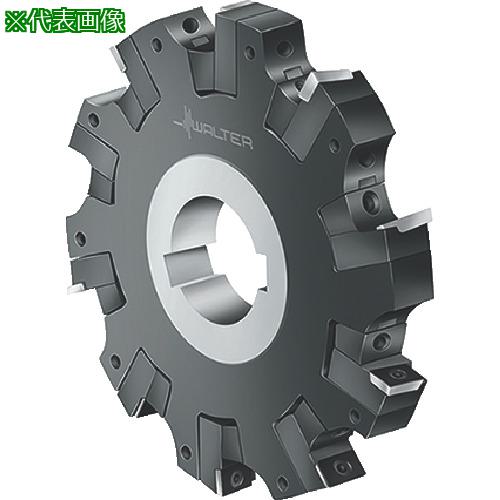 ■Walter サイドカッター〔品番:F2252.B.080.Z03.08.S684〕【8035615:0】[送料別途見積り][掲外取寄][店頭受取不可]｜ホームセンターバロー　店