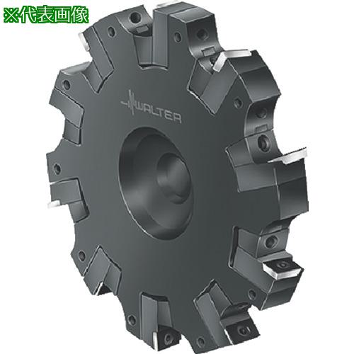 ■Walter サイドカッター〔品番:F2252.BN.160.Z05.19.S686〕【8035823:0】[送料別途見積り][掲外取寄][店頭受取不可]