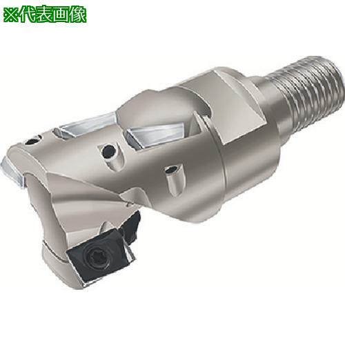 ■Walter ポーキュパインカッター〔品番:F4038.T22.025.Z02.22〕【8036156:0】[送料別途見積り][掲外取寄][店頭受取不可]