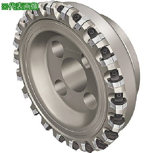 ■Walter ファインピッチカッター〔品番:F4045.B40.125.Z16.06〕【8036275:0】[送料別途見積り][掲外取寄][店頭受取不可]