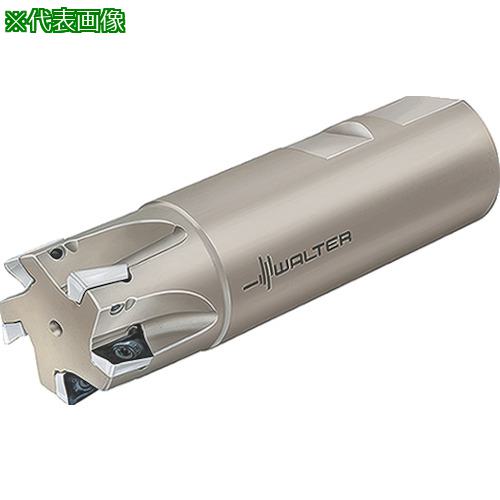■Walter 肩削りカッター〔品番:F4042R.Z32.032.Z04.10〕【8036411:0】[送料別途見積り][掲外取寄][店頭受取不可]