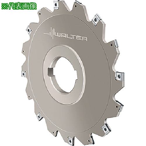 ■Walter サイドカッター〔品番:F4053.BN27.100.Z05.04R〕【8036452:0】[送料別途見積り][掲外取寄][店頭受取不可]