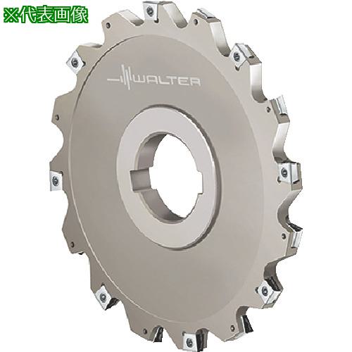 ■Walter サイドカッター〔品番:F4153.B40.160.Z08.06〕【8036517:0】[送料別途見積り][掲外取寄][店頭受取不可]