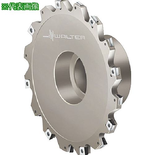 ■Walter サイドカッター〔品番:F4153.BN27.100.Z05.10R〕【8036527:0】[送料別途見積り][掲外取寄][店頭受取不可]｜ホームセンターバロー　店