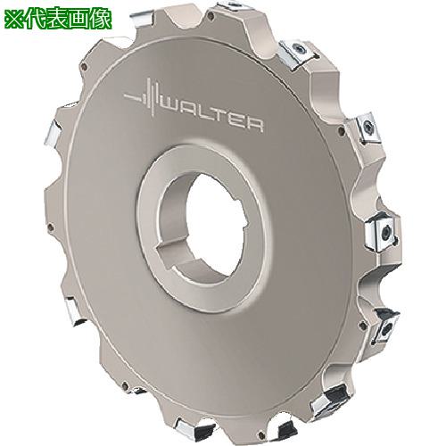 ■Walter サイドカッター〔品番:F4253.B40.125.Z06.12〕【8036558:0】[送料別途見積り][掲外取寄][店頭受取不可]｜ホームセンターバロー　店