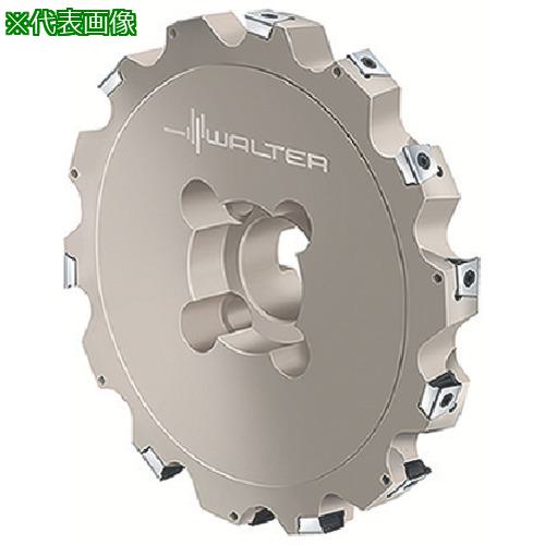 ■Walter サイドカッター〔品番:F4253.BN60.250.Z08.20R〕【8036576:0】[送料別途見積り][掲外取寄][店頭受取不可]｜ホームセンターバロー　店