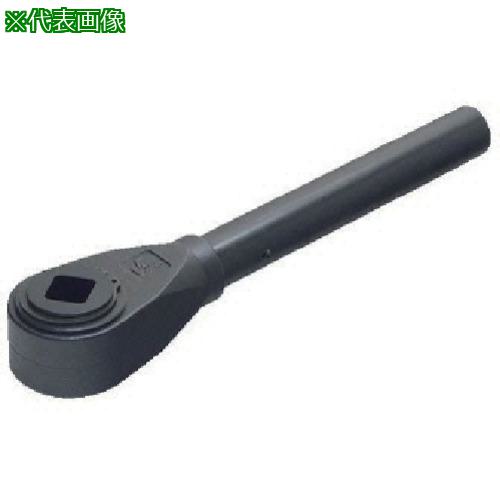■kipp ラチェットレバー〔品番:RL230S〕【8058511:0】[送料別途見積り][掲外取寄][店頭受取不可]