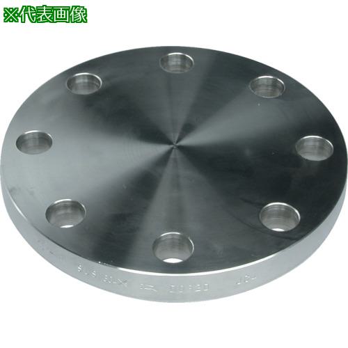 ■inoc ブラインドフランジ SUS304 BF 5K 250A〔品番:304BF5K250A〕【8064171:0】[送料別途見積り][掲外取寄][店頭受取不可]