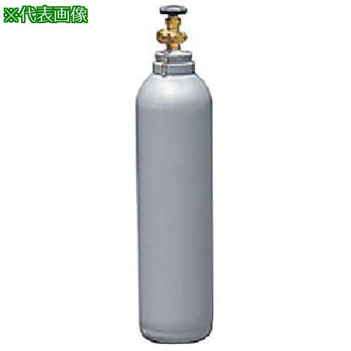■Asada RS13専用回収ボンベR503〔品番:TF093〕【8067785:0】[送料別途見積り][法人・事業所限定][直送][店頭受取不可]｜ホームセンターバロー　店