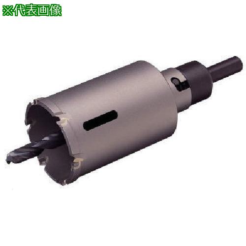 ■大見 デュアル ホールカッター 30mm〔品番:DH30〕【8079232:0】[送料別途見積り][掲外取寄][店頭受取不可]