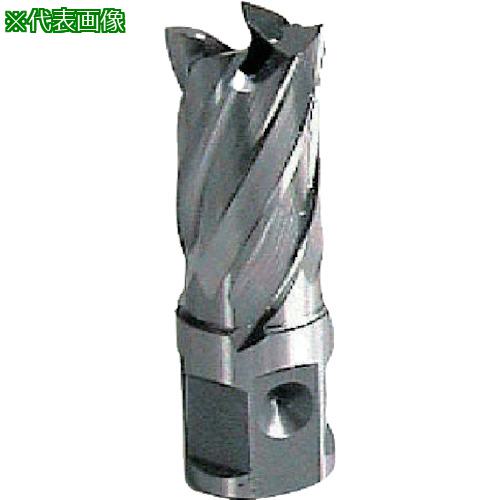 ■大見 25SQハイスカッター 11.5mm〔品番:HCSQ115〕【8079913:0】[送料別途見積り][掲外取寄][店頭受取不可]