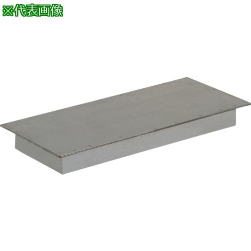 ■KANETEC 強力形プレートマグネットフラットタイプ〔品番:KPMFH2020〕【8085646:0】[法人・事業所限定][外直送元][店頭受取不可]｜ホームセンターバロー　店