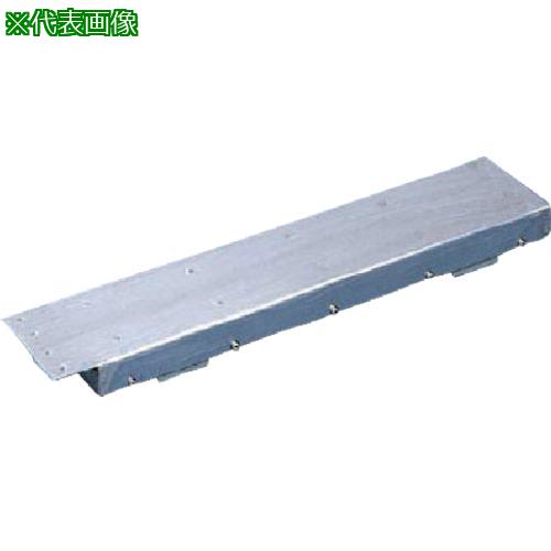 ■KANETEC 磁化レール〔品番:KRAA500〕【8085666:0】[法人・事業所限定][外直送元][店頭受取不可]