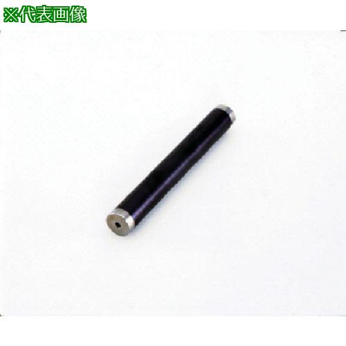 ■KANETEC 耐摩耗サニタリーマグネット棒 タップ穴付 長さ244mm〔品番:PCMB2J25A〕【8085955:0】[法人・事業所限定][外直送元][店頭受取不可]｜ホームセンターバロー　店