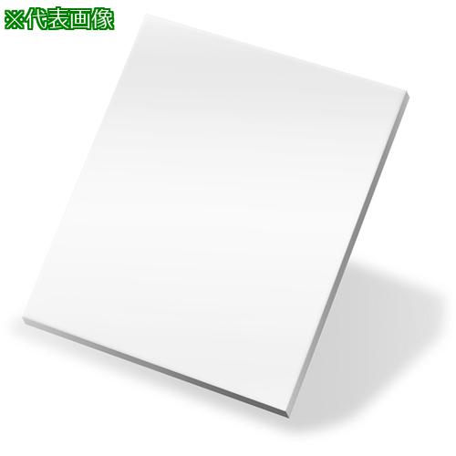 ■リケン レーザー用遮光フィルター EX 1200x1000〔品番:RLFEX12001000〕【8094368:0】[法人・事業所限定][外直送元][店頭受取不可]