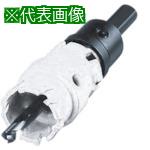 ■ハウスB.M ドッチーモ超硬ホルソー(ストレートタイプフルセット)両刃仕様 刃径30mm〔品番:DH30〕【8094914:0】[送料別途見積り][掲外取寄][店頭受取不可]｜ホームセンターバロー　店