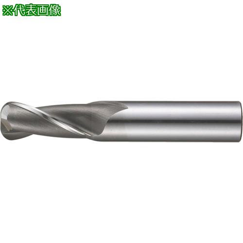 ■FKD ラジアスエンドミル2枚刃32×2.5R〔品番:2RBE32X2.5R〕【8100183:0】[送料別途見積り][掲外取寄][店頭受取不可]