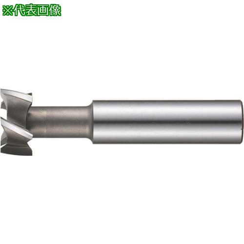 ■FKD Tスロットエンドミル55×16〔品番:TSE55X16〕【8103622:0】[法人・事業所限定][直送元][店頭受取不可]