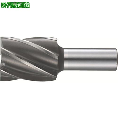 ■FKD 3Sエンドミル6枚刃(標準刃)53&times;42〔品番:6SF53X42〕【8104017:0】[法人・事業所限定][直送元][店頭受取不可]｜ホームセンターバロー　店