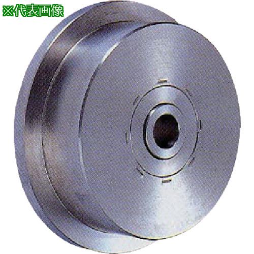 ■MK オールステンレス枠無トロッシャー 100mm〔品番:S3250100〕【8110826:0】[送料別途見積り][掲外取寄][店頭受取不可]｜ホームセンターバロー　店