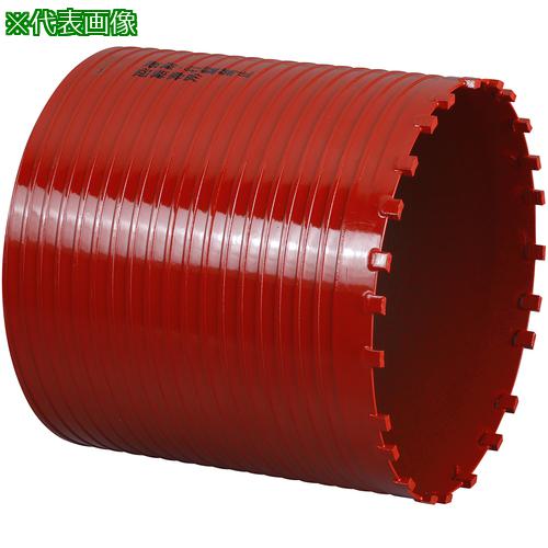 ■ミヤナガ ドライモンドコアドリル ポリカッター Φ210〔品番:PCD210C〕【8113678:0】[法人・事業所限定][直送元][店頭受取不可]｜ホームセンターバロー　店