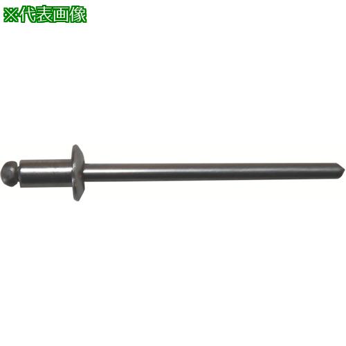 ■HIT ブラインドリベット ステン/鉄 4-5 (1000個入)〔品番:HTS45〕【8145809:0】[送料別途見積り][掲外取寄][店頭受取不可]