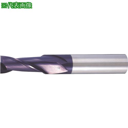 ■MOLDINO センチュリ-コ-ト 2枚刃EM HES2150-C〔品番:HES2150C〕【8154696:0】[送料別途見積り][掲外取寄][店頭受取不可]｜ホームセンターバロー　店