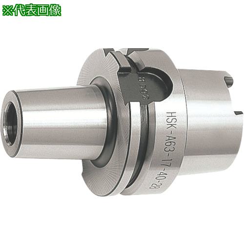 ■MOLDINO アーバ HSK-A63-12.5-35-21〔品番:HSKA6312.53521〕【8156492:0】[送料別途見積り][掲外取寄][店頭受取不可]｜ホームセンターバロー　店