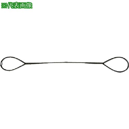 ■NIKKO 台付けワイヤー スリング径16mm 全長2m《10本入》〔品番:D162〕【8157617&times;10:0】[送料別途見積り][掲外取寄][店頭受取不可]｜ホームセンターバロー　店