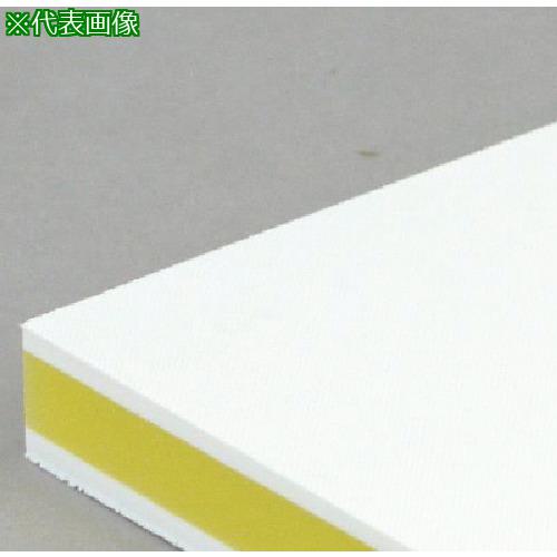 ■サンヨー カラー抗菌業務用まな板 CKY-20M〔品番:CKY20M〕【8163627:0】[送料別途見積り][掲外取寄][店頭受取不可]