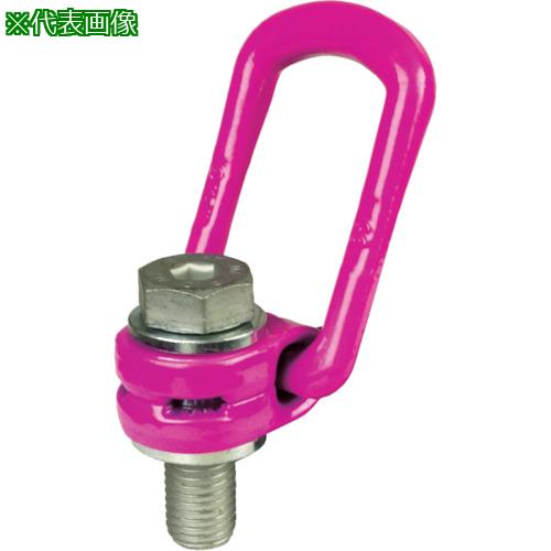 ■RUD ロードリングインチサイズ VLBG-Z 4T 1 8UNC〔品番:VLBGZ4T18UNC〕【8195676:0】[店頭受取不可]｜ホームセンターバロー　店