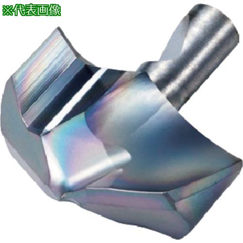■京セラ マジックドリルDRA用チップ 汎用 DA-GM PR1525〔品番:DA1950MGM〕【8200366:0】[送料別途見積り][掲外取寄][店頭受取不可]｜ホームセンターバロー　店