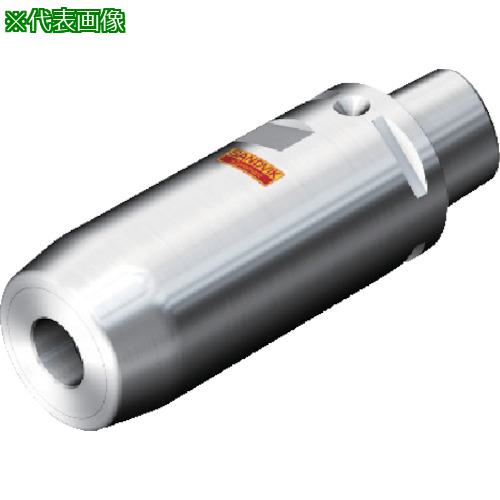 ■SANDVIK コロチャック930(530)〔品番:930C4S20090A〕【8203222:0】[送料別途見積り][掲外取寄][店頭受取不可]