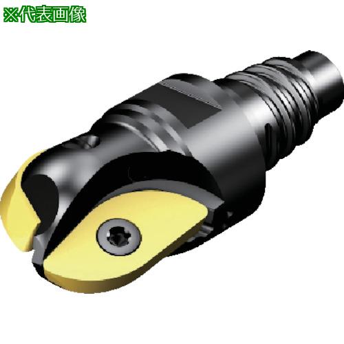■SANDVIK コロミル216 ボールエンドミル(440)〔品番:R21625EH25〕【8204160:0】[送料別途見積り][掲外取寄][店頭受取不可]