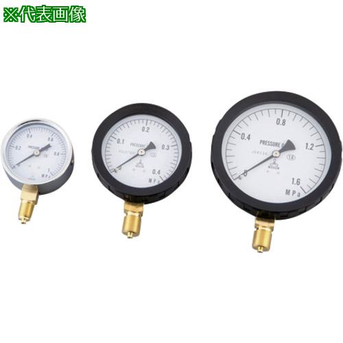 ■AS 汎用圧力計A形φ100 G3/8B4.0〔品番:1750808〕【8210131:0】[送料別途見積り][掲外取寄][店頭受取不可]