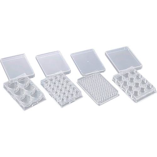 ■AS 微生物培養用プレート 6穴 (60枚入)〔品番:1835501〕【8210419:0】[送料別途見積り][掲外取寄][店頭受取不可]｜ホームセンターバロー　店
