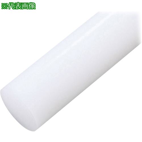 ■AS 樹脂丸棒PE-160-495〔品番:2958227〕【8213431:0】[送料別途見積り][掲外取寄][店頭受取不可]